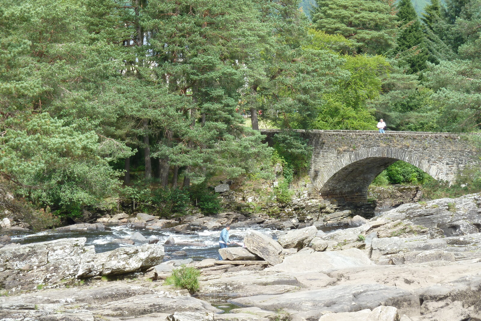 รูปถ่าย อังกฤษ(United Kingdom) ทรอสซักส์(The Trossachs) 2011-07 122