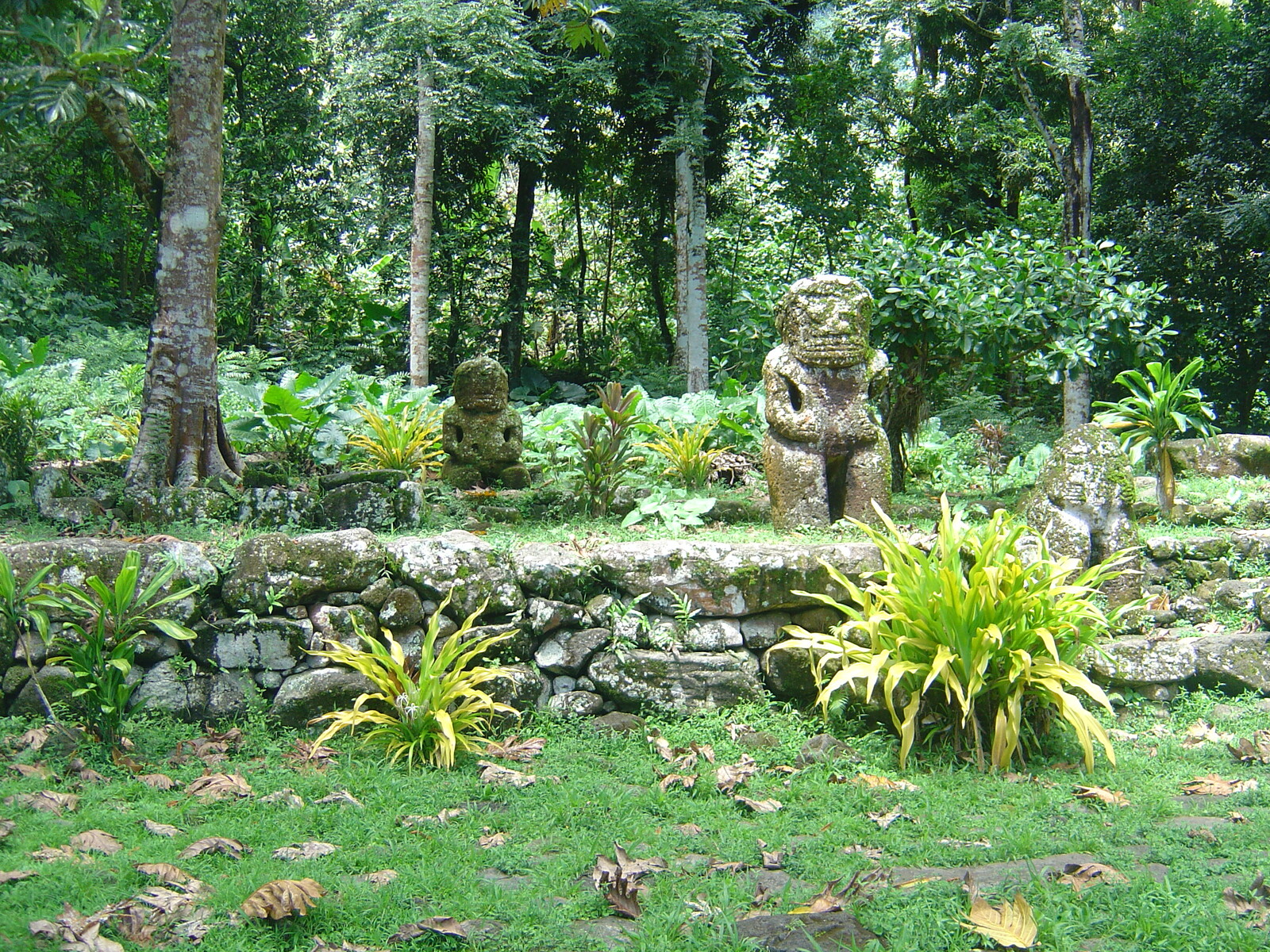 รูปถ่าย เฟรนช์โพลี่นีเซีย(Polynesia) หมู่เกาะมาร์เคซัส(Marquises) 2006-04 82