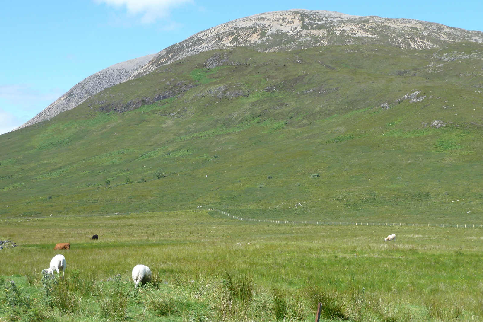 รูปถ่าย อังกฤษ(United Kingdom) เกาะสกาย(Skye) เทือกเขาคูลิน(The Cuillin) 2011-07 137