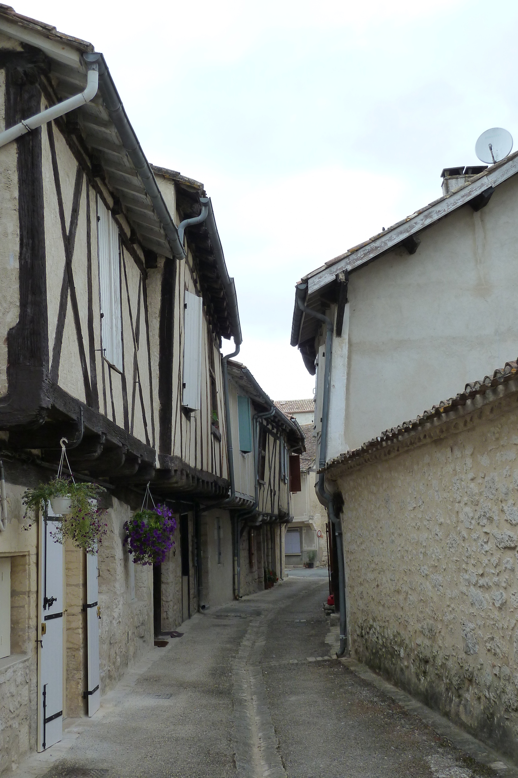 รูปถ่าย ฝรั่งเศส(France) อีซีฌัก(Issigeac) 2010-08 2