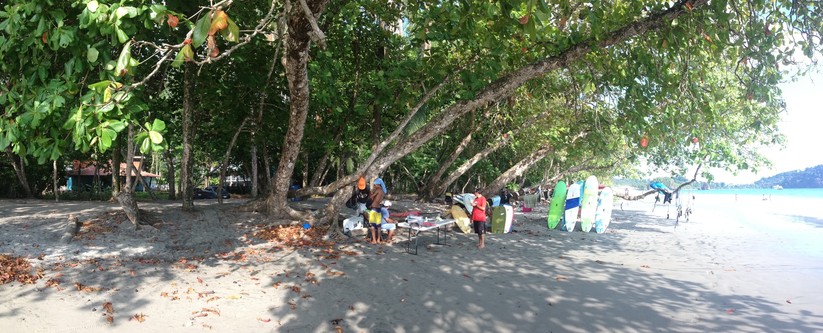 รูปถ่าย คอสตาริกา(Costa Rica) มานวยล์อันโตนีโอ(Manuel Antonio) 2015-03 512