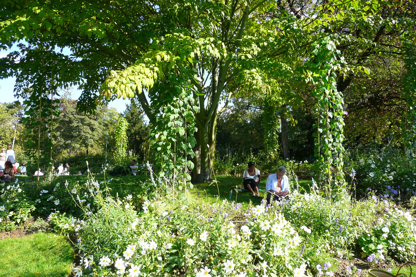 รูปถ่าย ฝรั่งเศส(France) ปารีส(Paris) สวนมงโซ(Monceau Garden) 2007-09 14