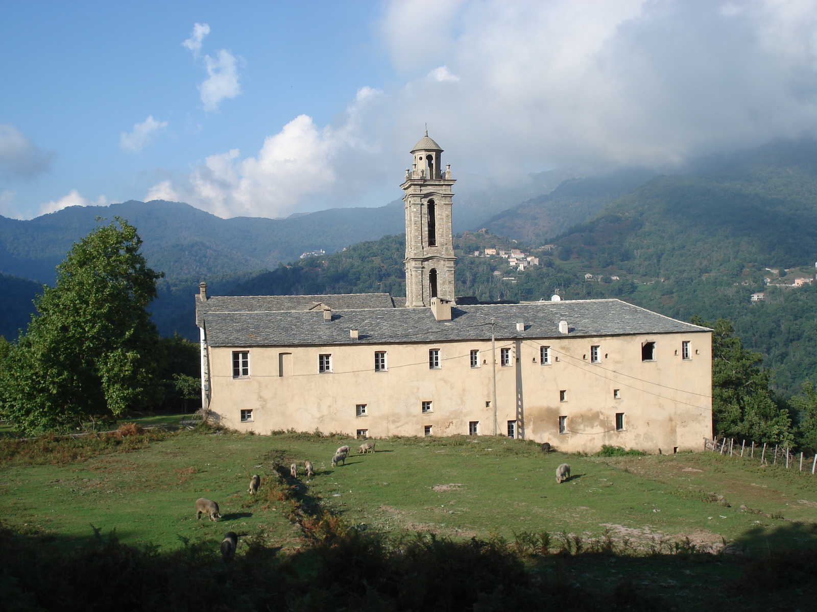รูปถ่าย ฝรั่งเศส(France) คอร์สิคา(Corsica) วัลเล-ดาเลซานี(Valle d'alesani) 2006-09 113