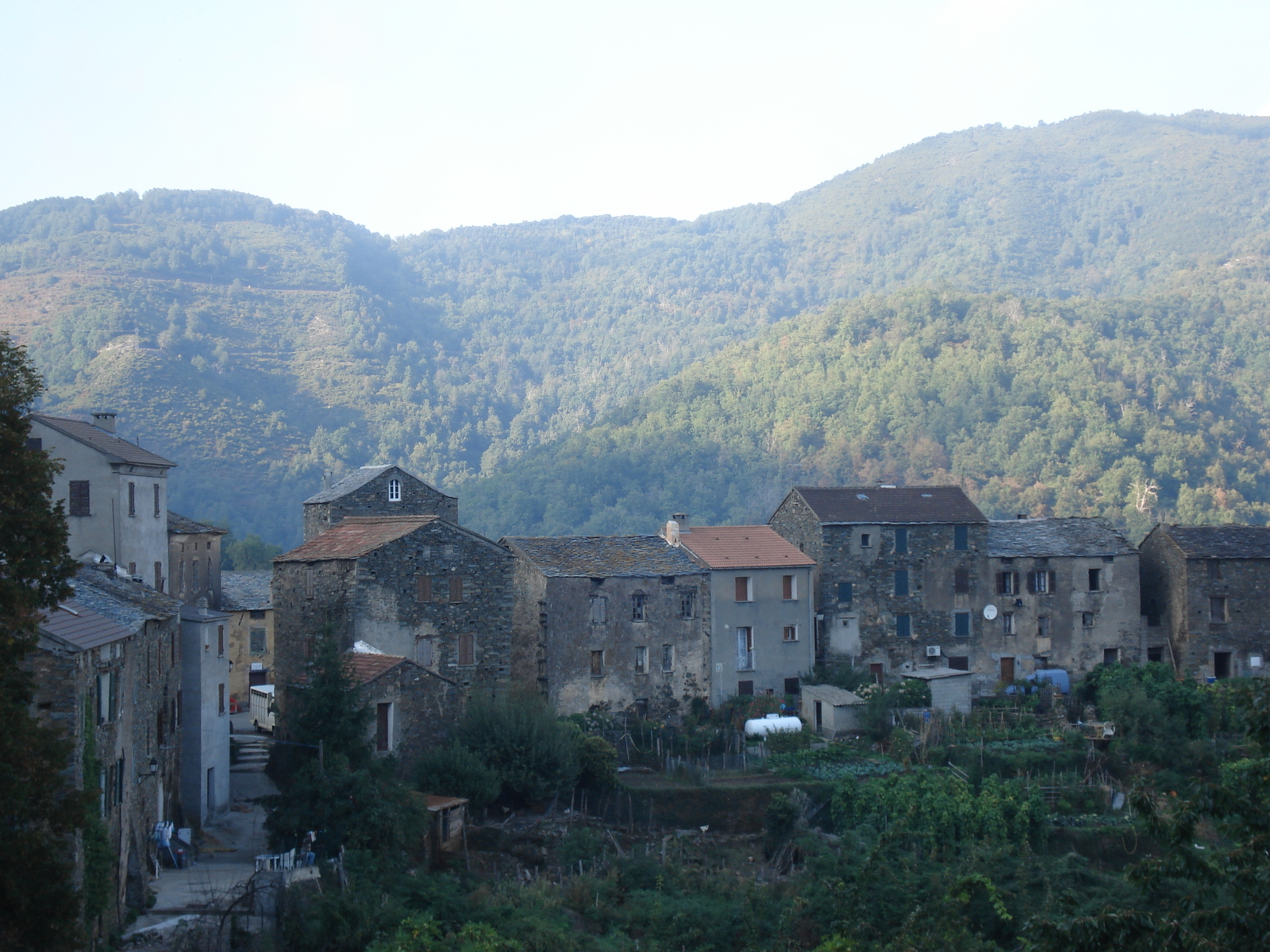รูปถ่าย ฝรั่งเศส(France) คอร์สิคา(Corsica) วัลเล-ดาเลซานี(Valle d'alesani) 2006-09 40