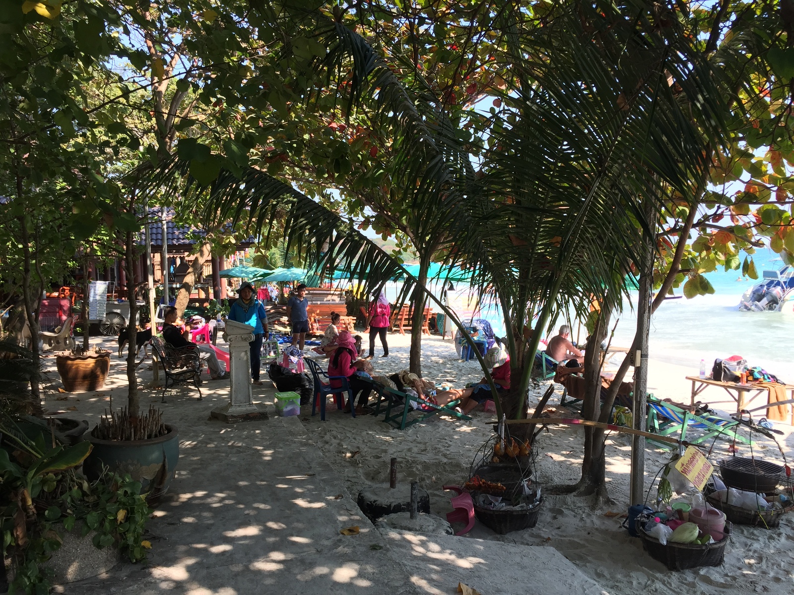 รูปถ่าย ไทย(Thailand) เกาะเสม็ด(Ko Samet) 2016-01 95