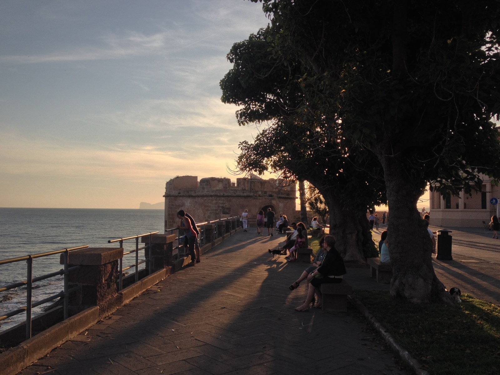 รูปถ่าย อิตาลี(Italy) ซาร์ดิเนีย(Sardinia) อัลเกโร(Alghero) 2015-06 127