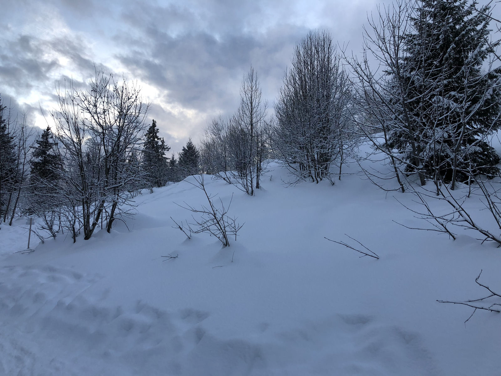 รูปถ่าย ฝรั่งเศส(France) ลากลูซา(La Clusaz) 2017-12 336