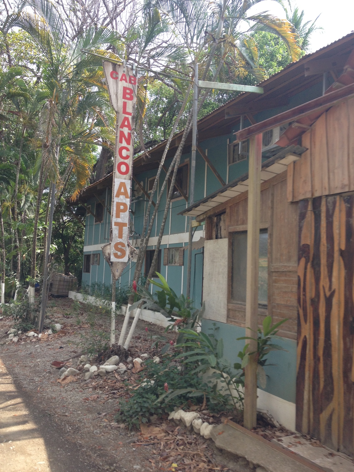 รูปถ่าย คอสตาริกา(Costa Rica) มอนเตซูมา(Montezuma) 2015-03 219