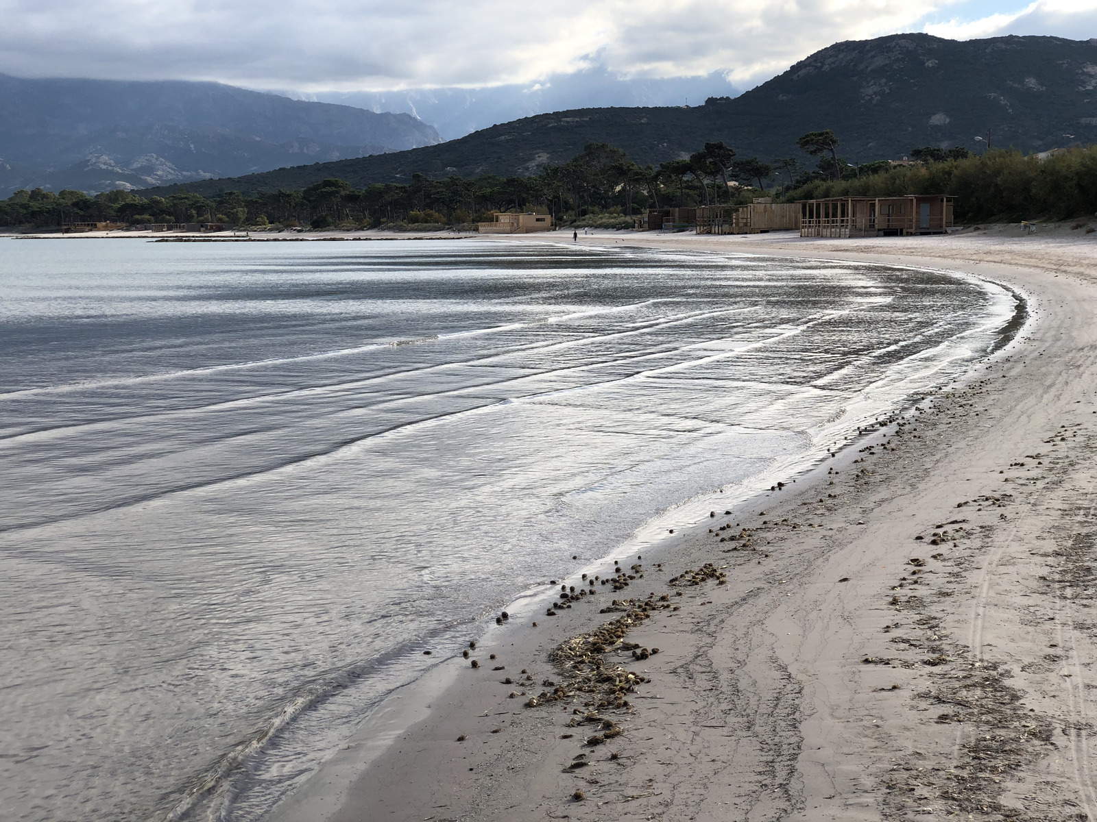 รูปถ่าย ฝรั่งเศส(France) คอร์สิคา(Corsica) คาลวี(Calvi) 2020-10 10