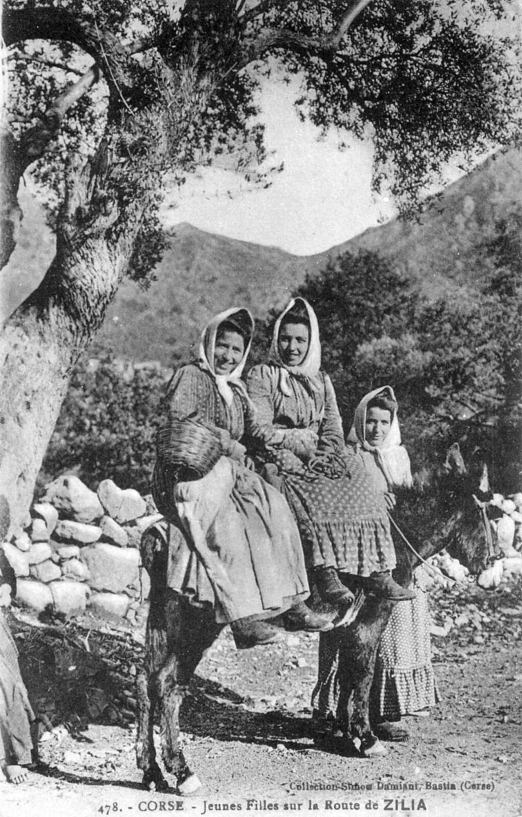 รูปถ่าย ฝรั่งเศส(France) คอร์สิคา(Corsica) โปสการ์ดเก่า(Old Postcards) 1900-01 323