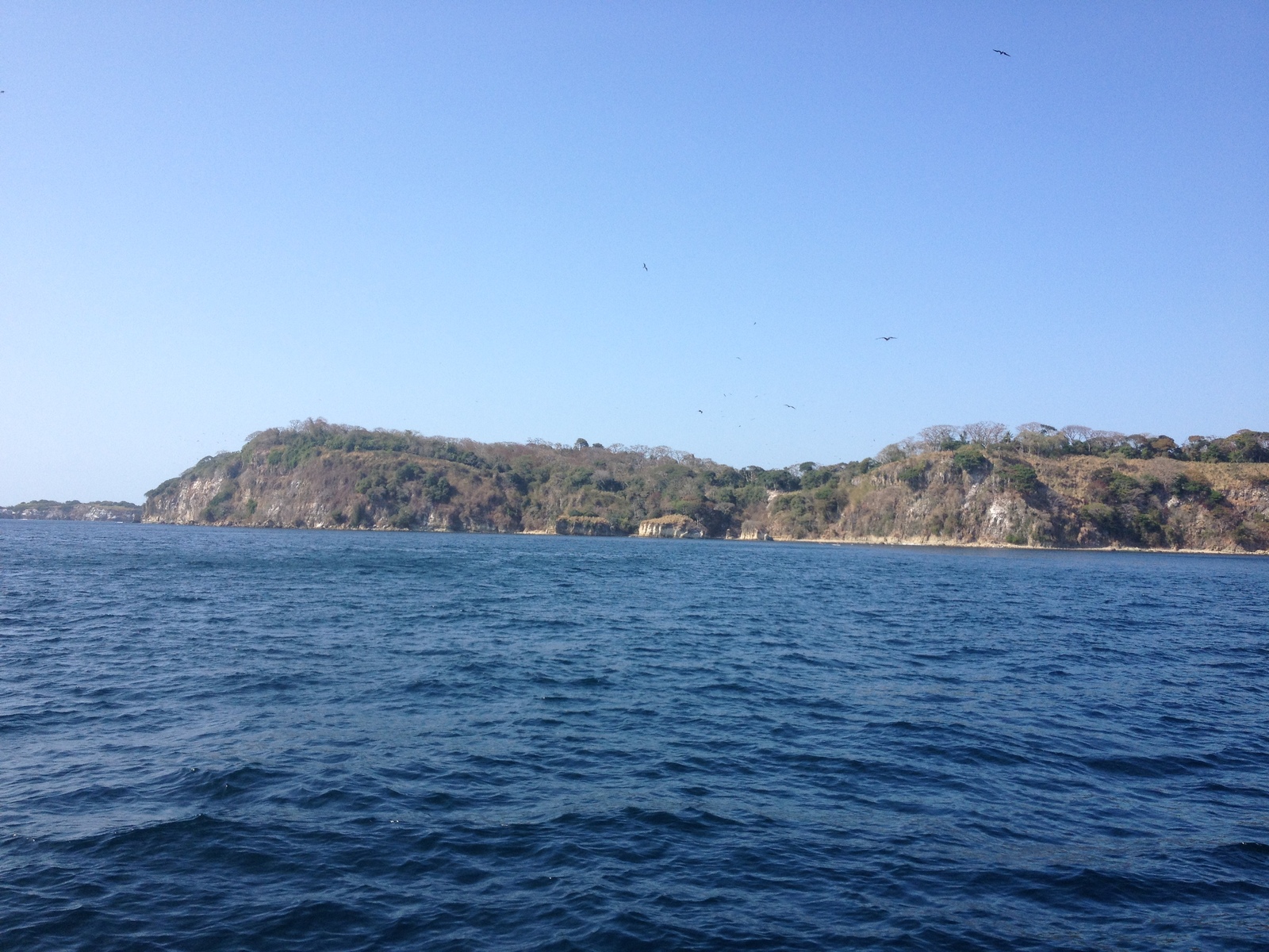 รูปถ่าย ปานามา(Panama) จากปานามาไปหมู่เกาะลัสเปร์ลัส(Panama to Las Perlas) 2015-03 67