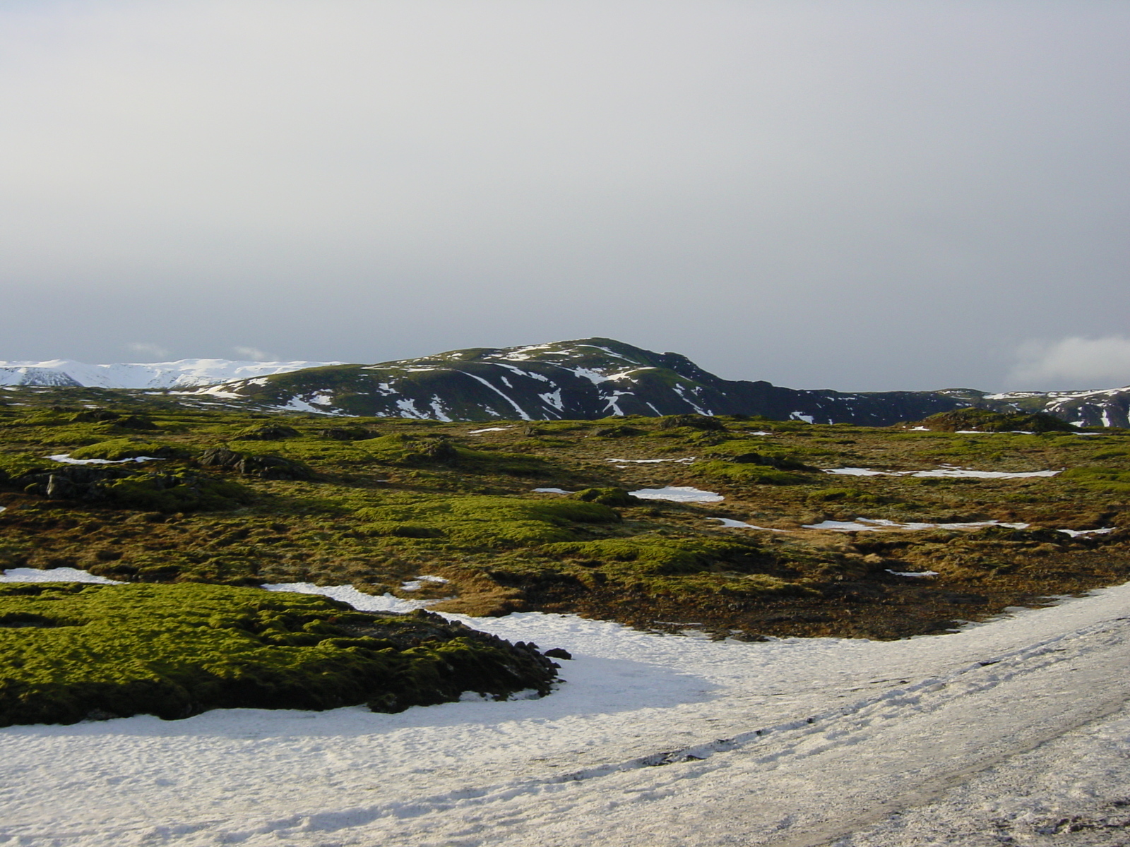 รูปถ่าย ไอซ์แลนด์(Iceland) ถนนหมายเลข 39 ไปเรคยาวิก(Road 39 to Reykjavik) 2003-03 12