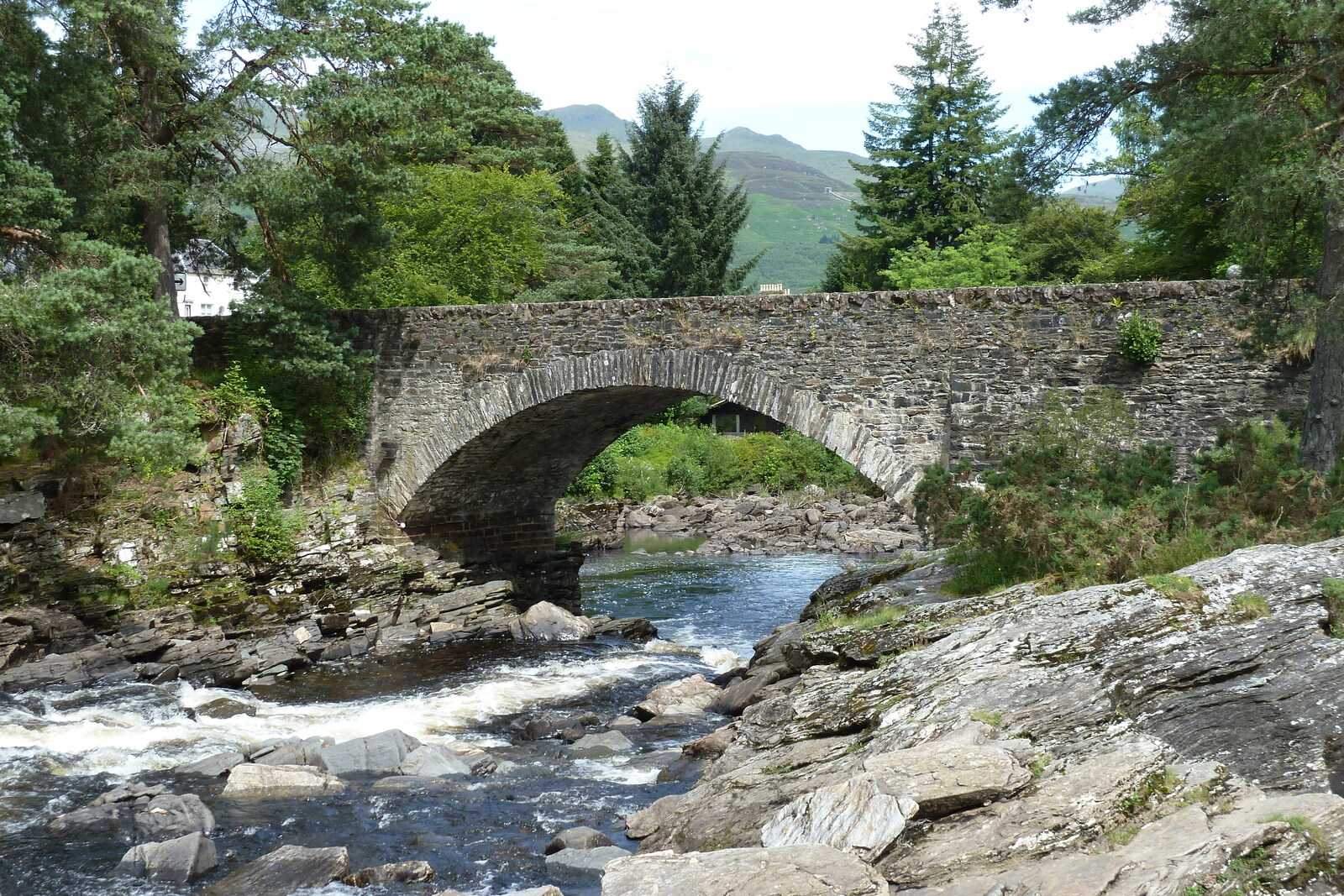 รูปถ่าย อังกฤษ(United Kingdom) ทรอสซักส์(The Trossachs) 2011-07 109