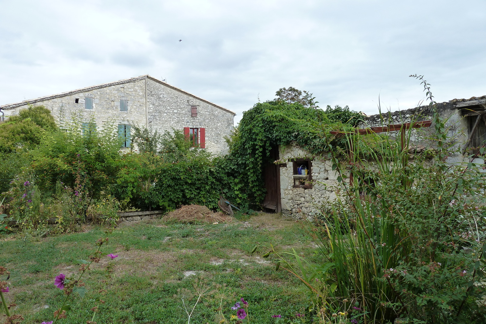 รูปถ่าย ฝรั่งเศส(France) อีซีฌัก(Issigeac) 2010-08 0