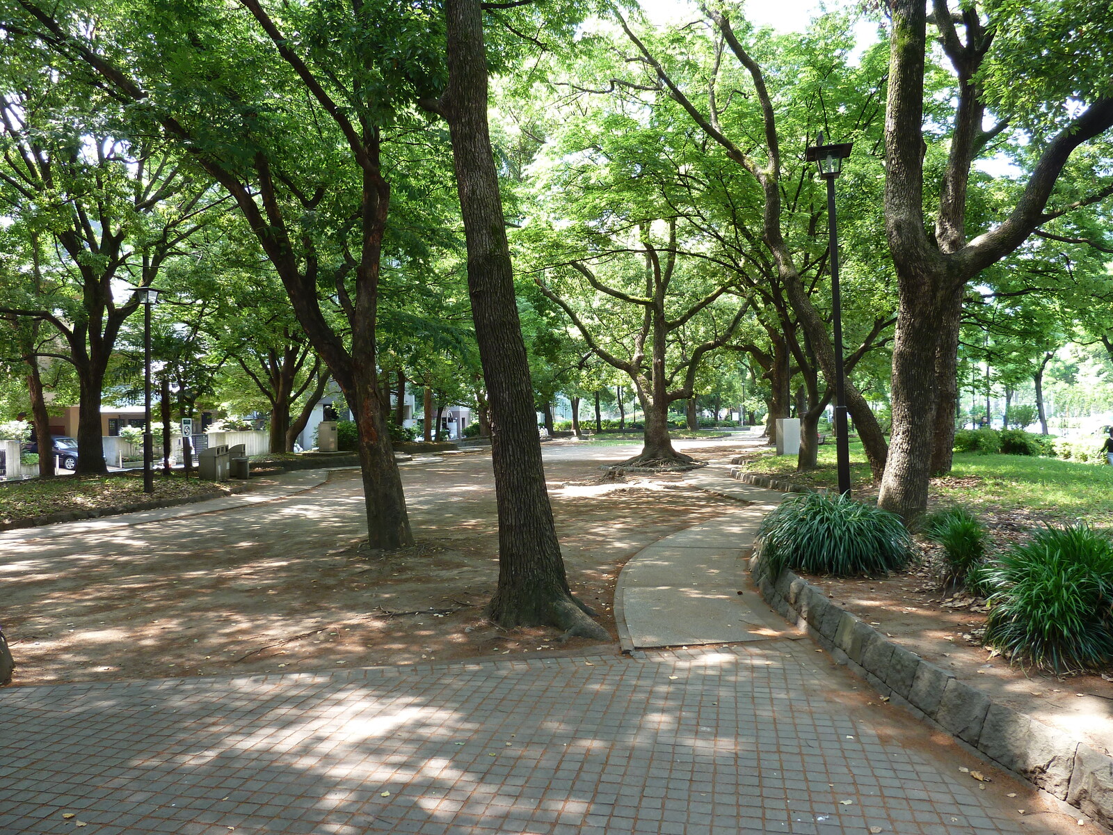 รูปถ่าย ญี่ปุ่น(Japan) โตเกียว(Tokyo) สวนชิบะ(Shiba Park) 2010-06 56