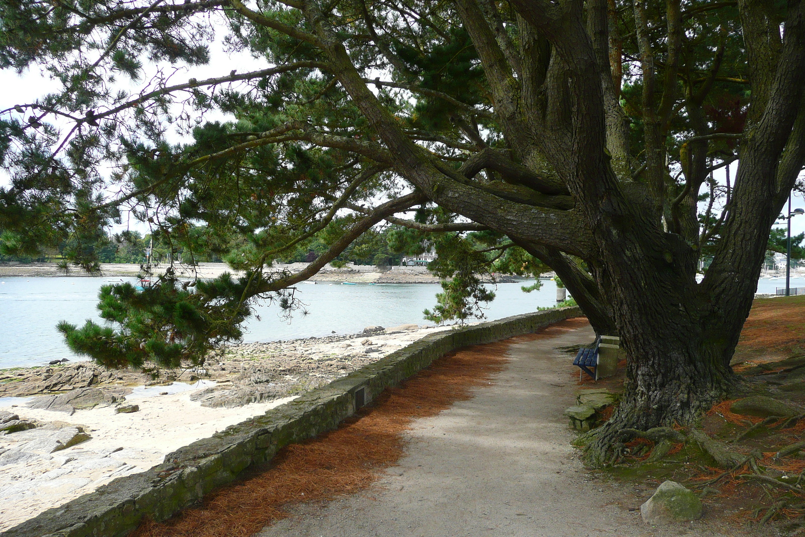 รูปถ่าย ฝรั่งเศส(France) เบโนเด(Benodet) 2008-07 42