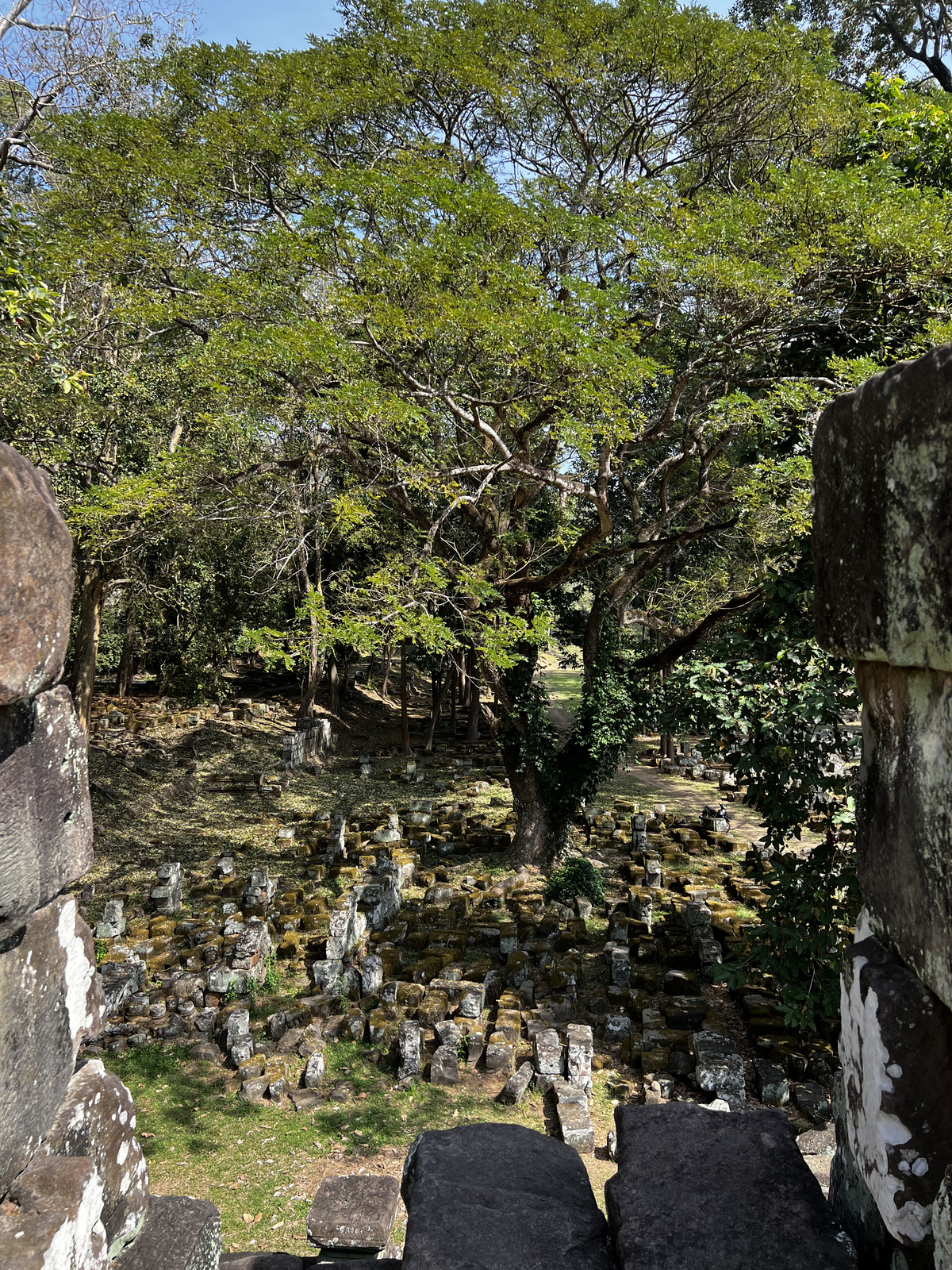 รูปถ่าย กัมพูชา(Cambodia) เสียมราฐ(Siem Reap) ปราสาทบาปวน(Baphuon) 2023-01 13