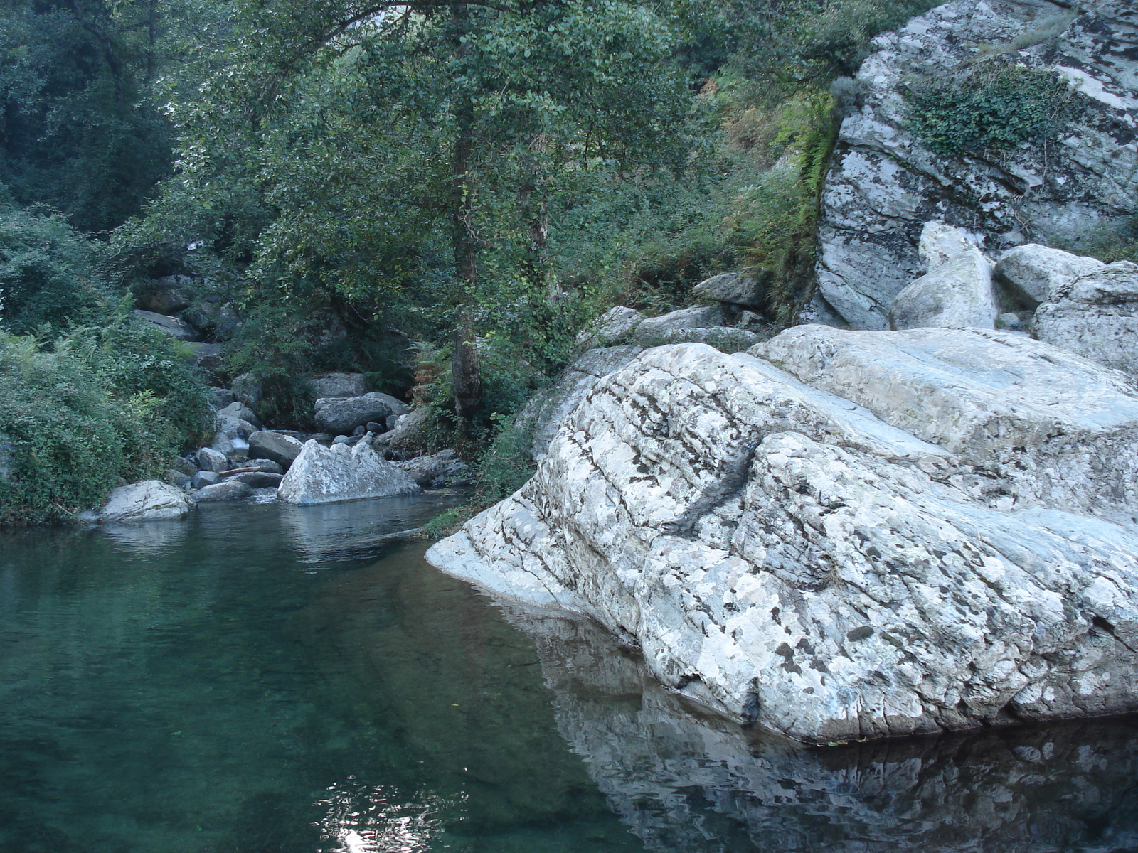 รูปถ่าย ฝรั่งเศส(France) คอร์สิคา(Corsica) วัลเล-ดาเลซานี(Valle d'alesani) 2006-09 111