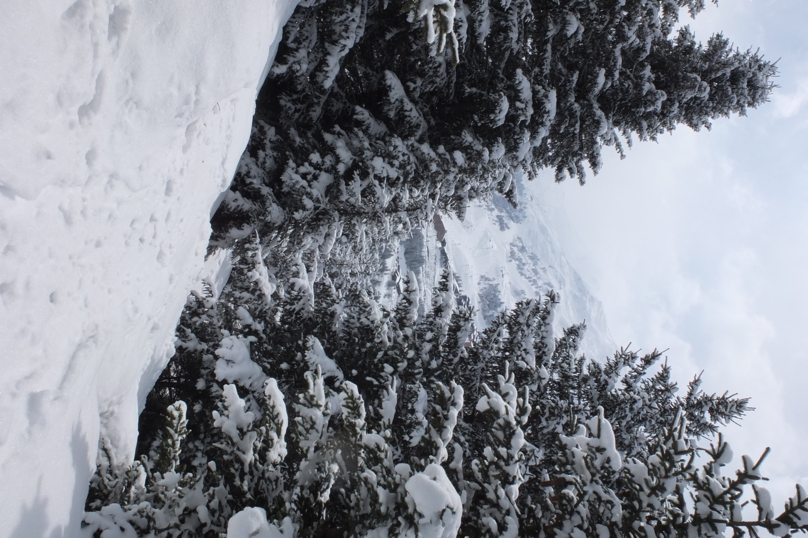 รูปถ่าย ฝรั่งเศส(France) เลทรัววาเล(Les 3 Vallees) 2013-03 206