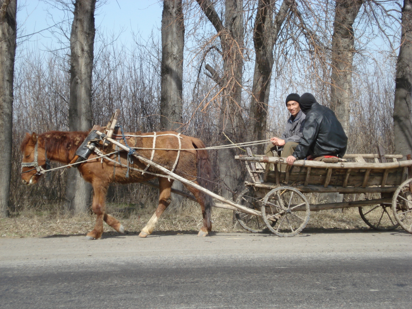 รูปถ่าย คาซัคสถาน(Kazakhstan) ถนนจากอัลมาตีไปหุบผาชารึน(Almaty to Charyn Canyon road) 2007-03 166