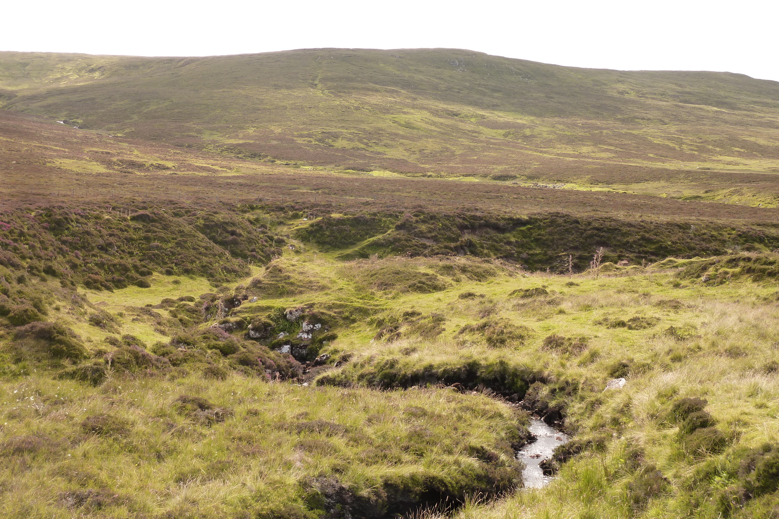 รูปถ่าย อังกฤษ(United Kingdom) เกาะสกาย(Skye) 2011-07 192