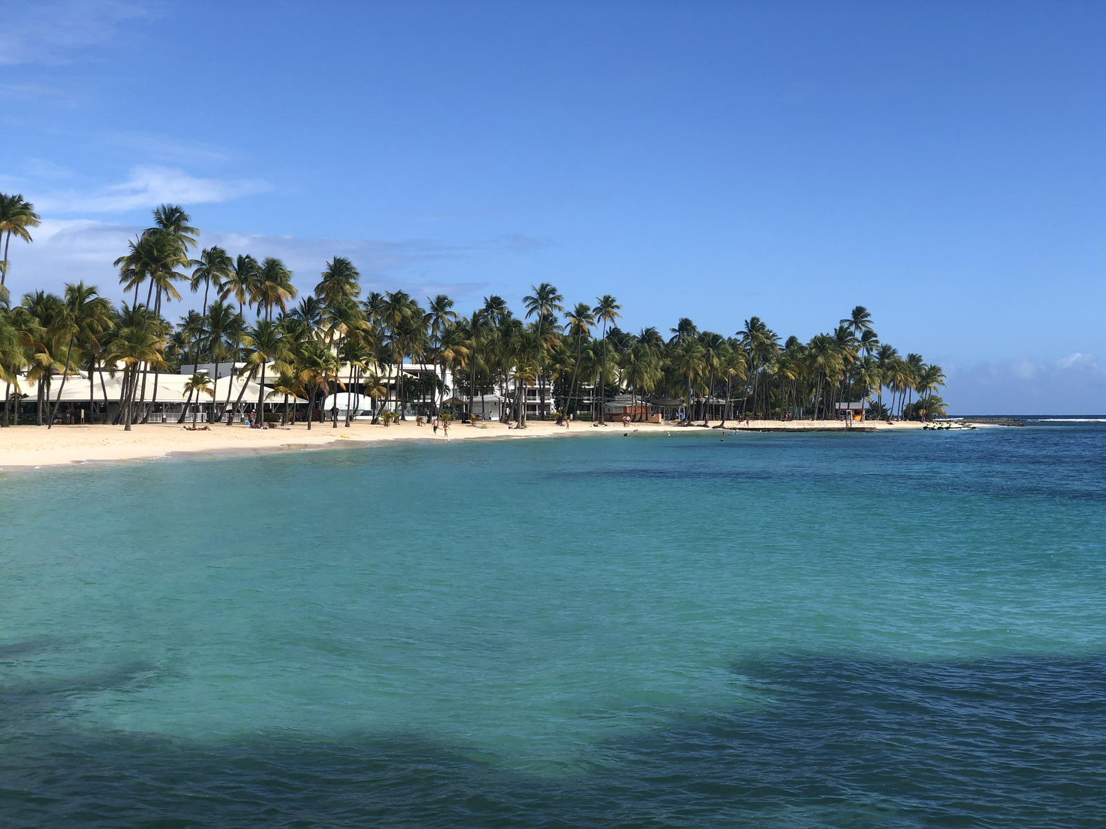 รูปถ่าย กวาเดอลูป(Guadeloupe) หาดลาการาแวล(La Caravelle Beach) 2021-02 47