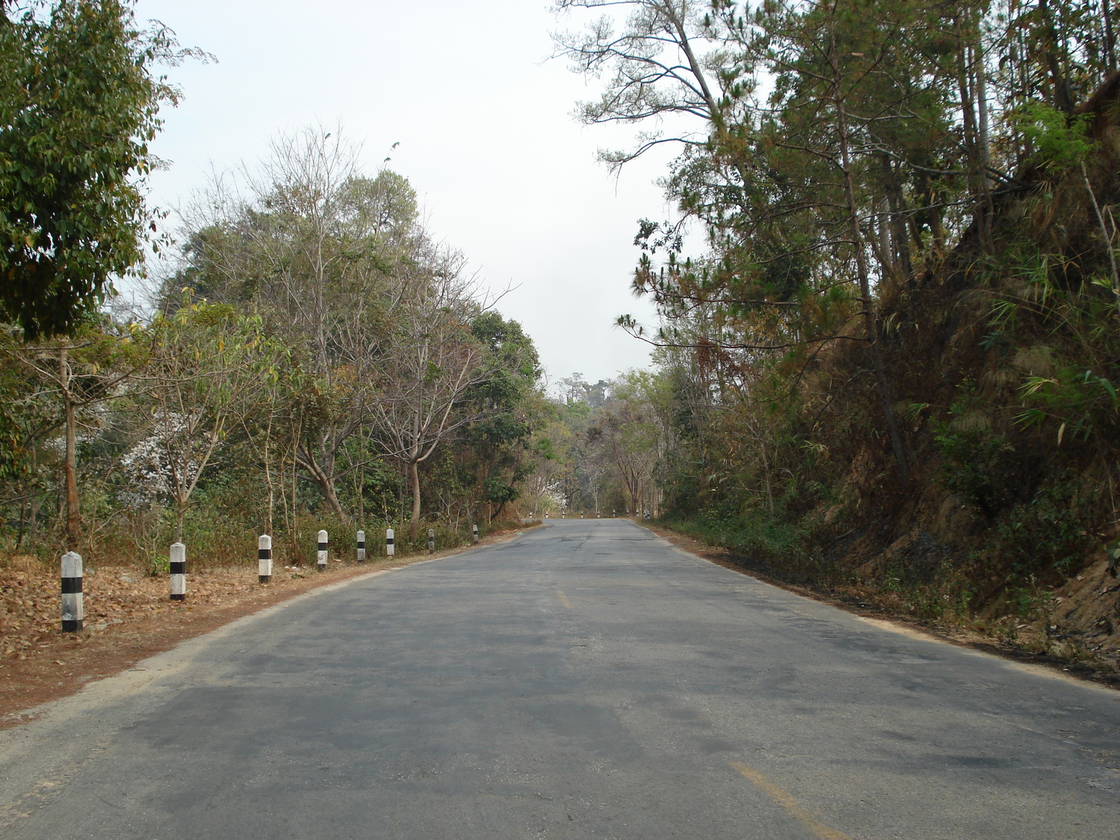 รูปถ่าย ไทย(Thailand) ถนนจากเชียงใหม่ไปปาย(Chiang Mai to Pai road) 2007-02 94