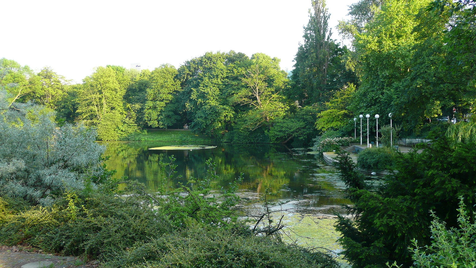 รูปถ่าย เยอรมนี(Germany) ดัสเซลดอร์ฟ(Dusseldorf) 2007-05 80