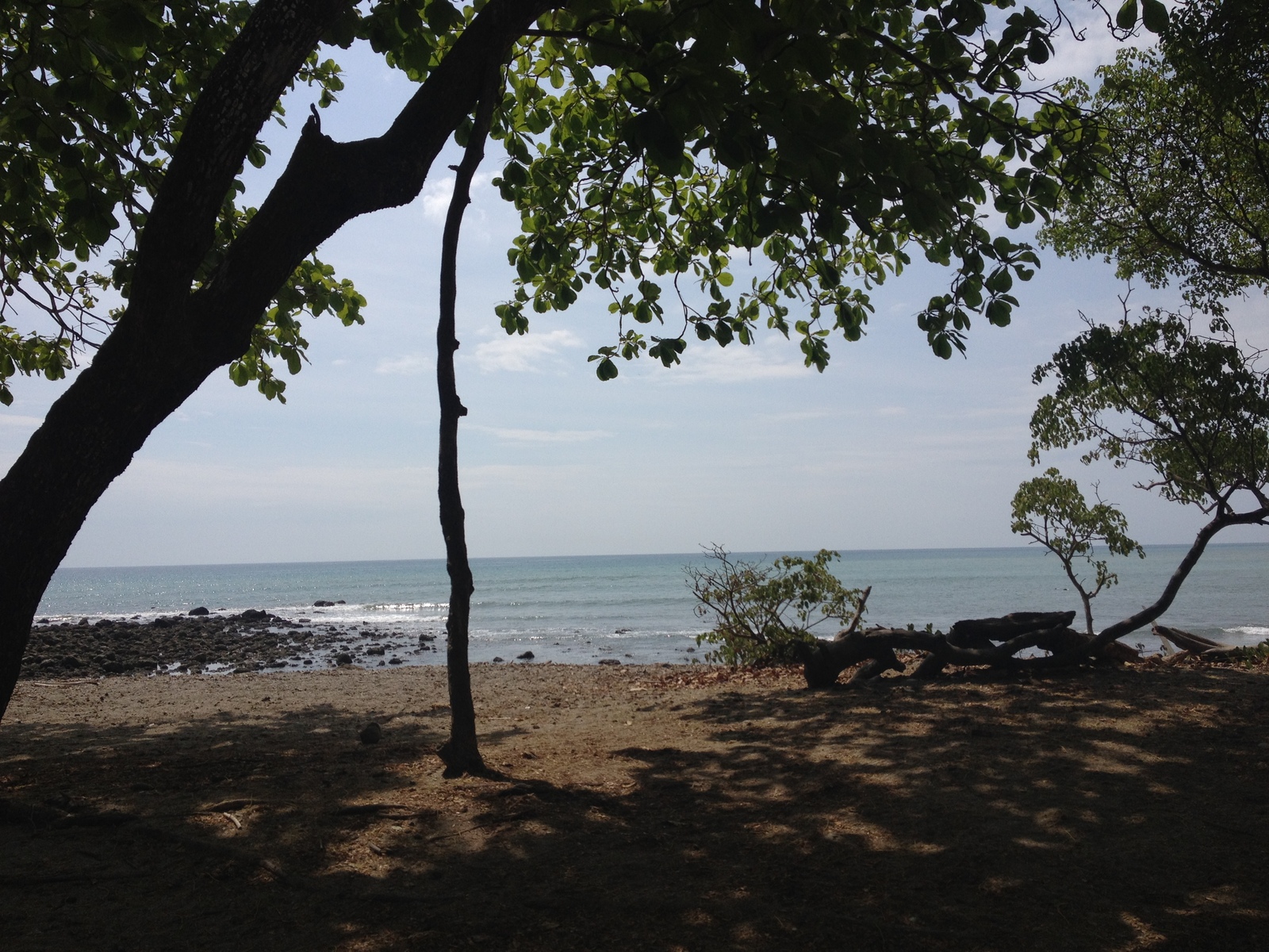 รูปถ่าย คอสตาริกา(Costa Rica) มอนเตซูมา(Montezuma) 2015-03 439