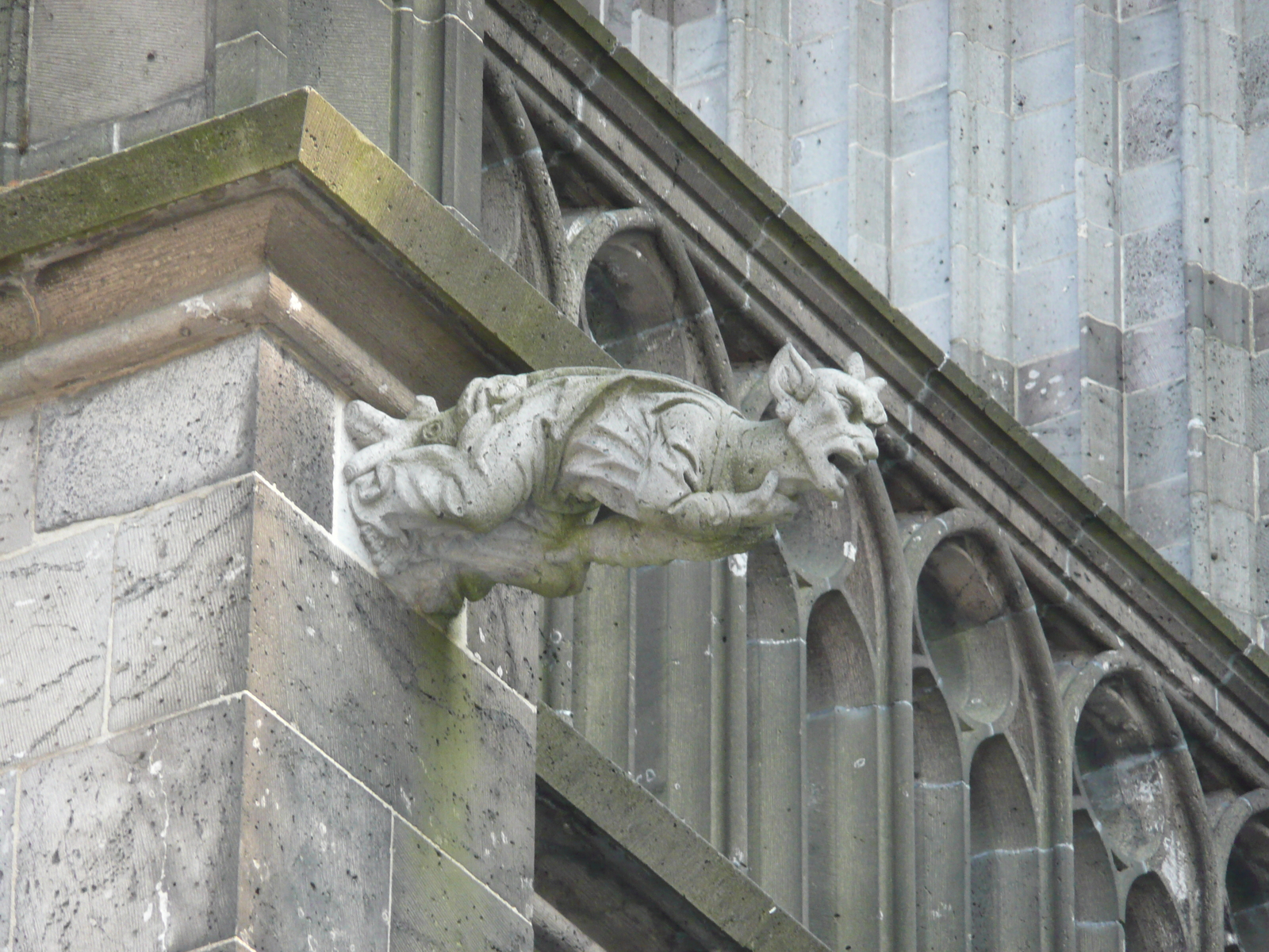 รูปถ่าย เยอรมนี(Germany) โคลอเนียล(Cologne) โบสถ์(Cathedral) 2007-05 141