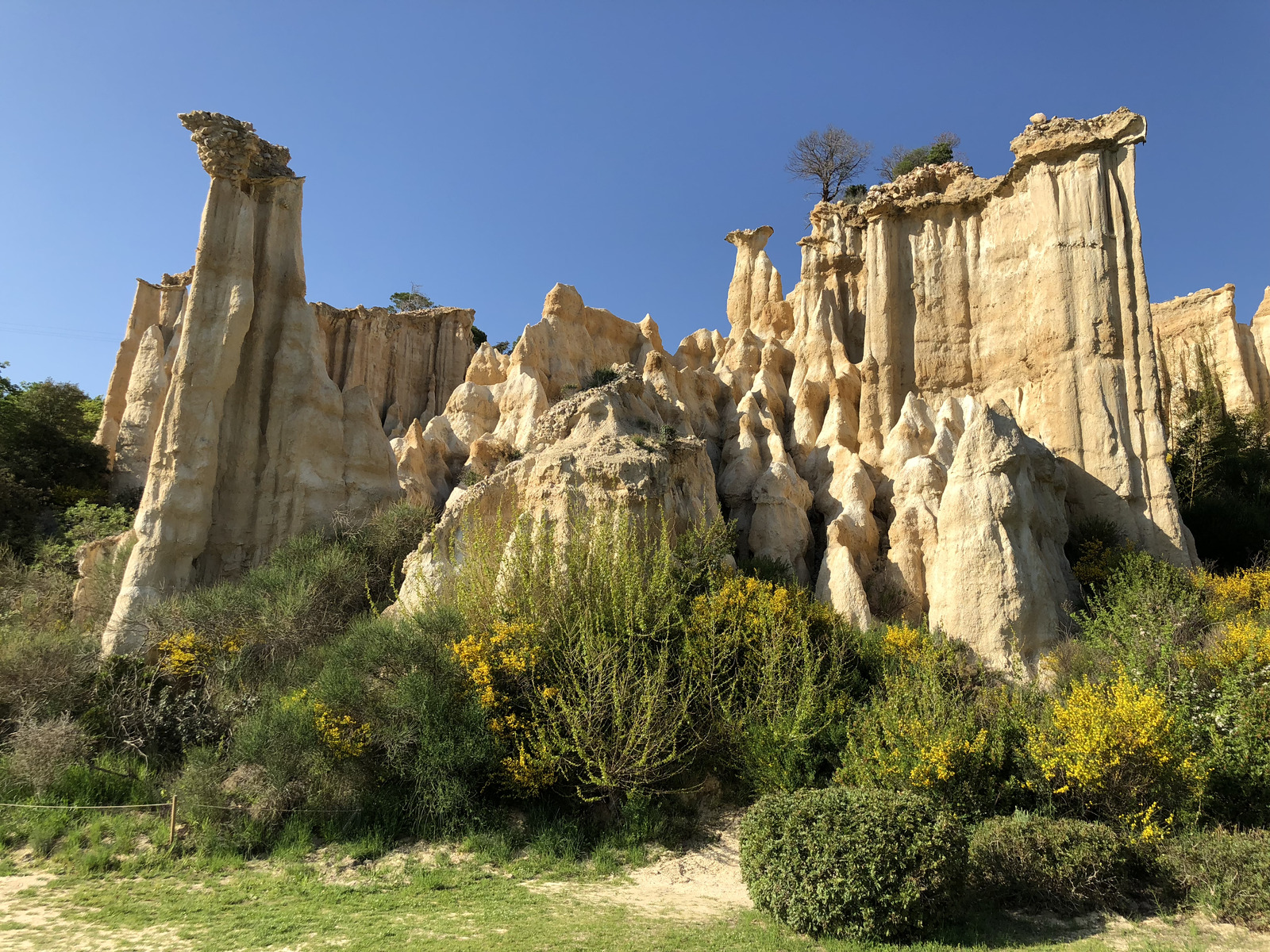 รูปถ่าย ฝรั่งเศส(France) เสาหินออร์กดีล-ซูร์-แต็ต(Orgues d'Ille Sur Tet) 2018-04 94