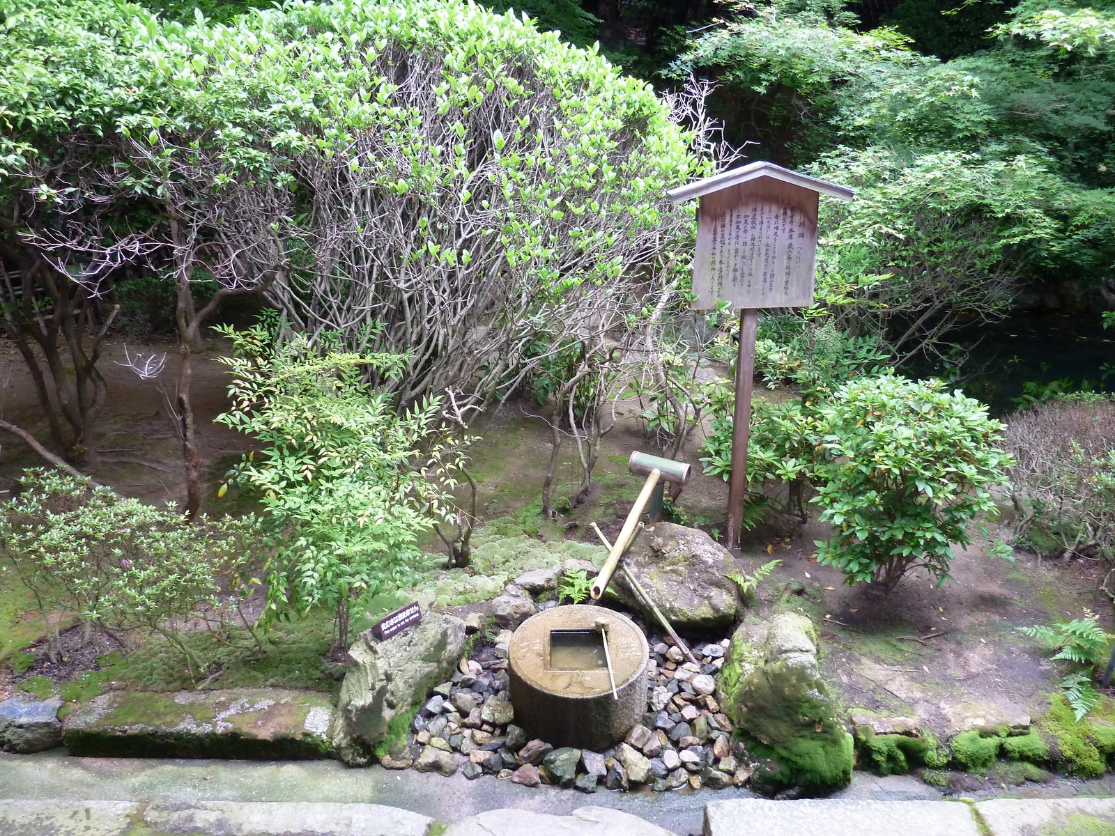 รูปถ่าย ญี่ปุ่น(Japan) เกียวโต(Kyoto) วัดเรียวอันจิ(Ryoanji Temple) 2010-06 12