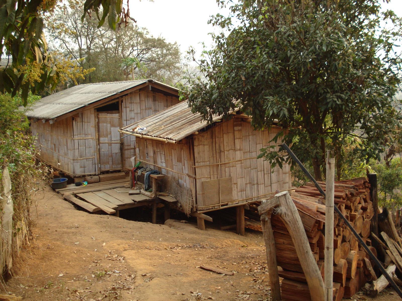 รูปถ่าย ไทย(Thailand) ปางมะผ้า(Pang Mapha) 2007-02 133