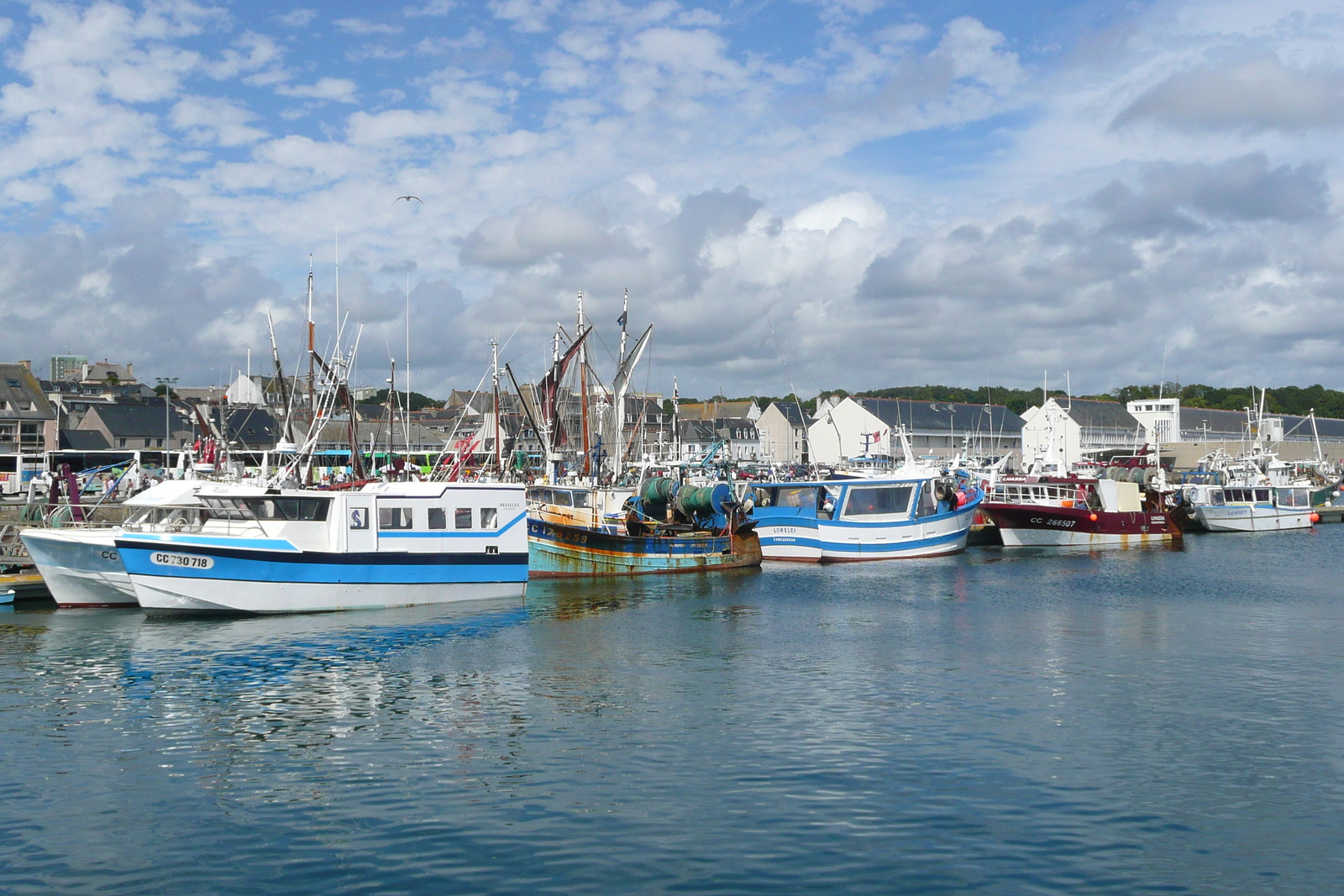 รูปถ่าย ฝรั่งเศส(France) กงการ์โน(Concarneau) 2008-07 14