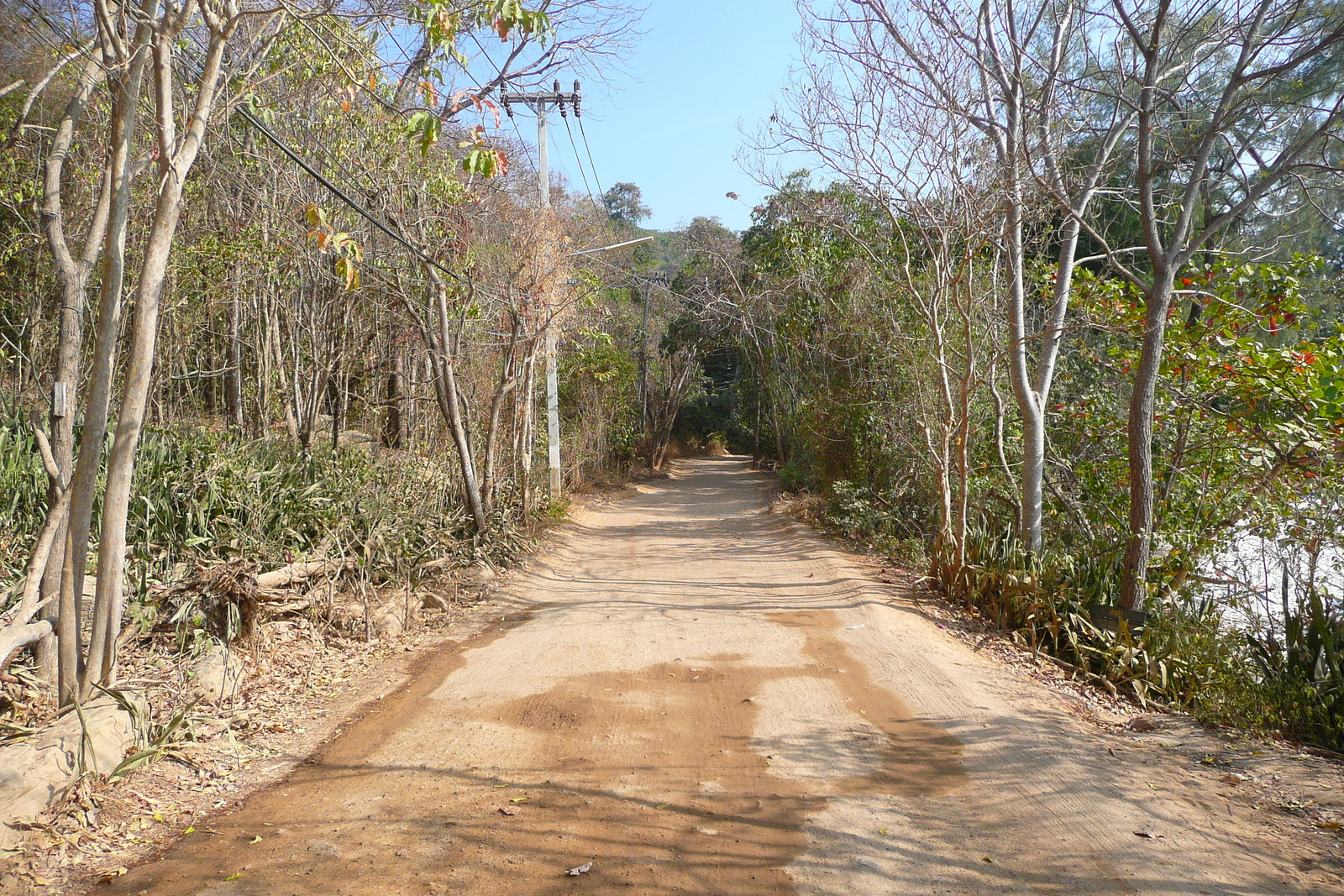 รูปถ่าย ไทย(Thailand) เกาะเสม็ด(Ko Samet) อ่าวไผ่(Ao Phai) 2009-01 35