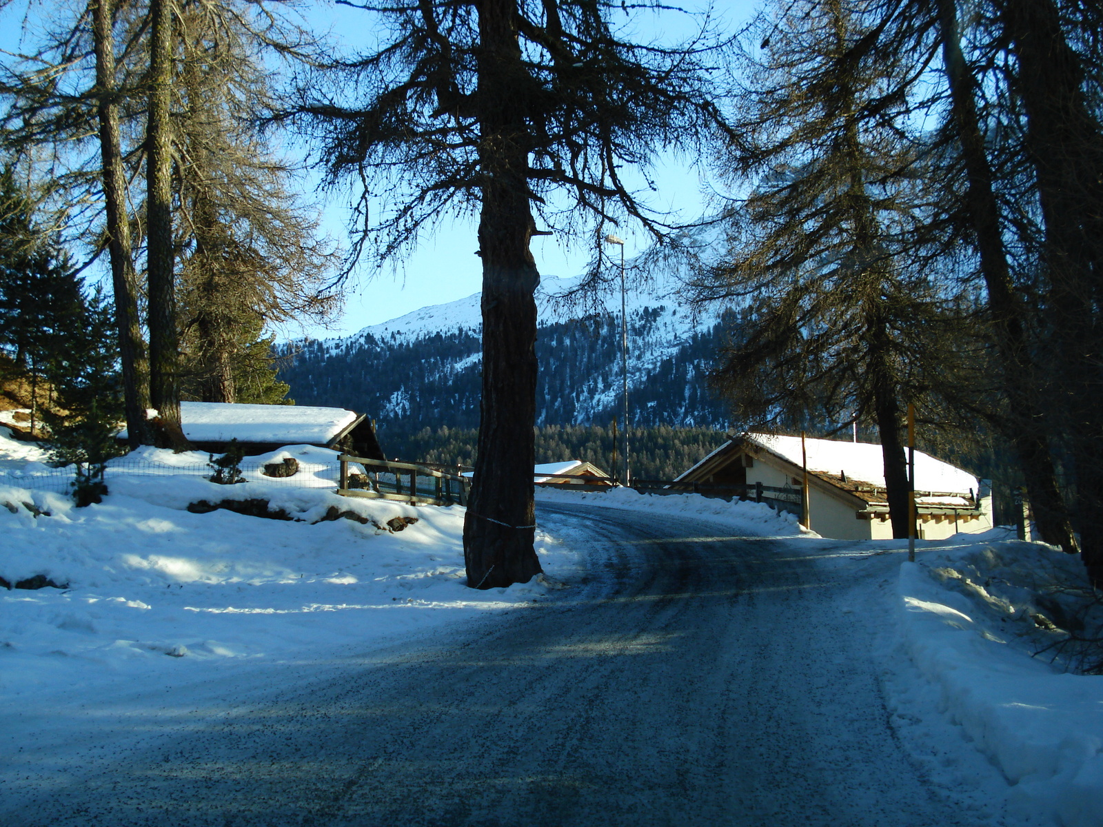 รูปถ่าย สวิสเซอร์แลนด์(Switzerland) เซนต์มอริตซ์ ชลาริญญา(St Moritz Schlarigna) 2007-01 56
