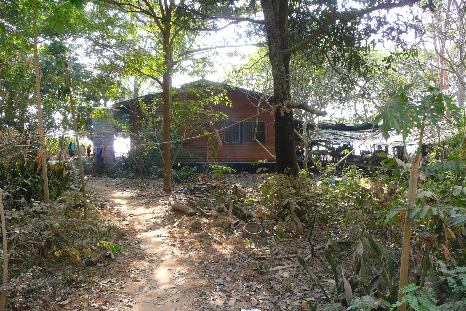 รูปถ่าย ไทย(Thailand) เกาะเสม็ด(Ko Samet) อ่าวไผ่(Ao Phai) 2009-01 38