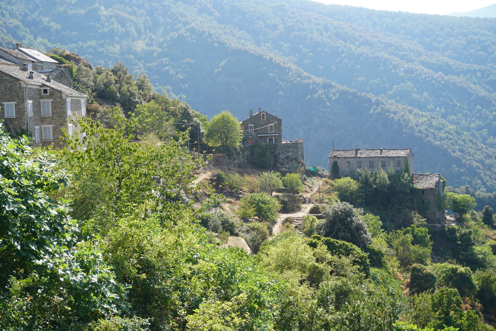 รูปถ่าย ฝรั่งเศส(France) คอร์สิคา(Corsica) แฟร์ลัจจา(Ferlaggia) 2017-09 18