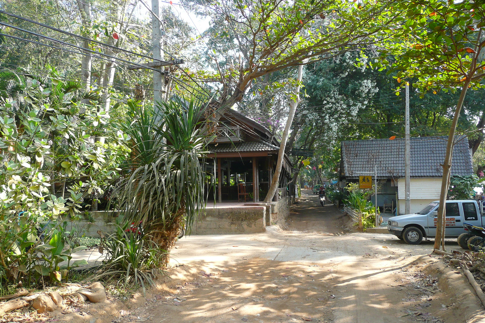 รูปถ่าย ไทย(Thailand) เกาะเสม็ด(Ko Samet) อ่าวไผ่(Ao Phai) 2009-01 47