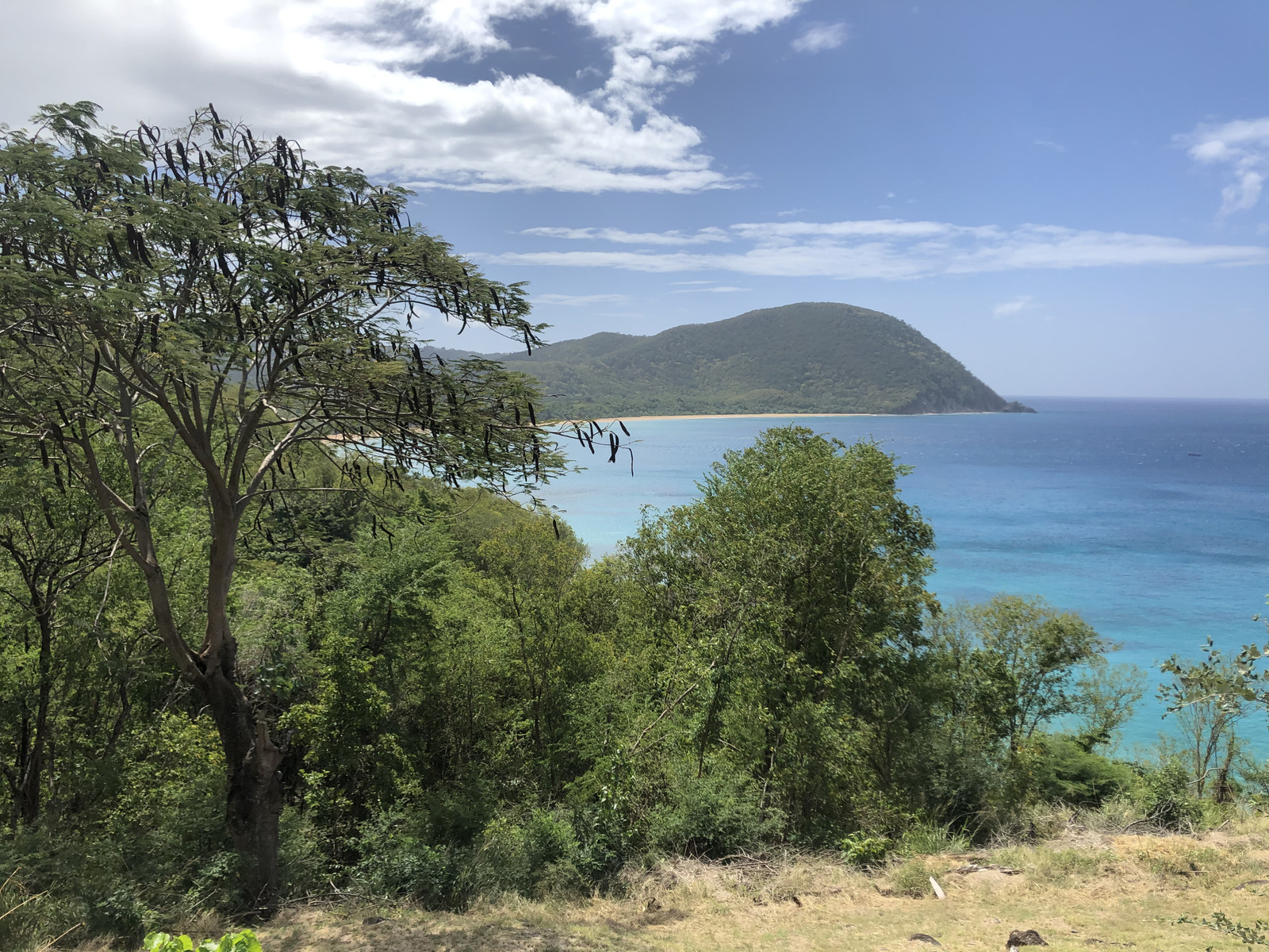 รูปถ่าย กวาเดอลูป(Guadeloupe) หาดกร็องด์อ็องส์(Grande Hanse Beach) 2021-02 16