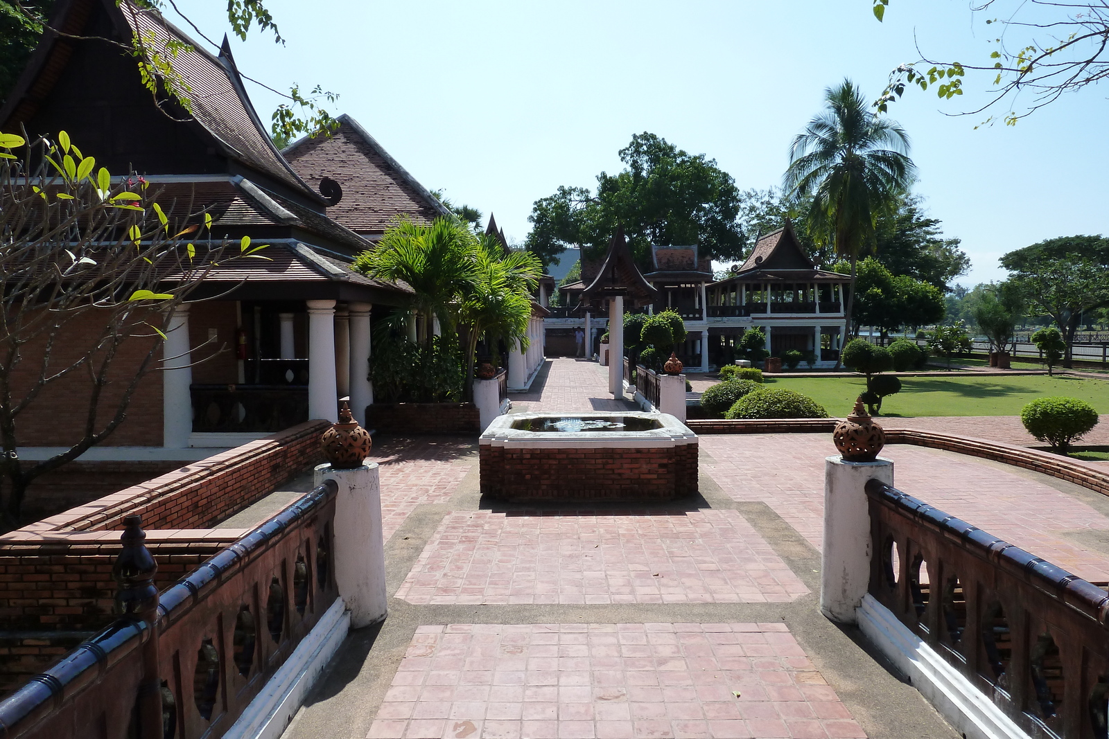 รูปถ่าย ไทย(Thailand) สุโขทัย(Sukhothai) 2010-12 105