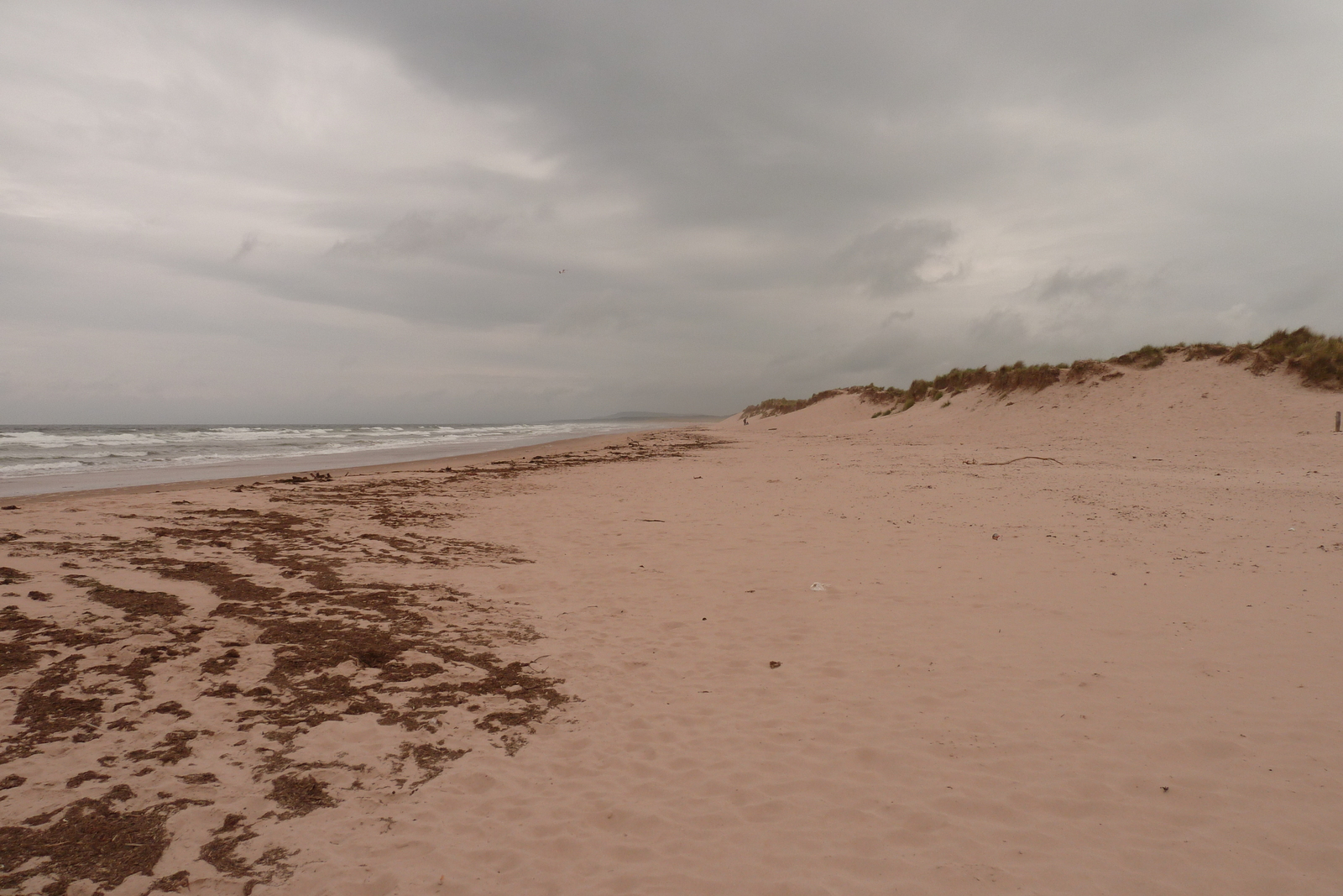 รูปถ่าย อังกฤษ(United Kingdom) สกอตแลนด์(Scotland) ลอสซีเมาท์(Lossiemouth) 2011-07 23