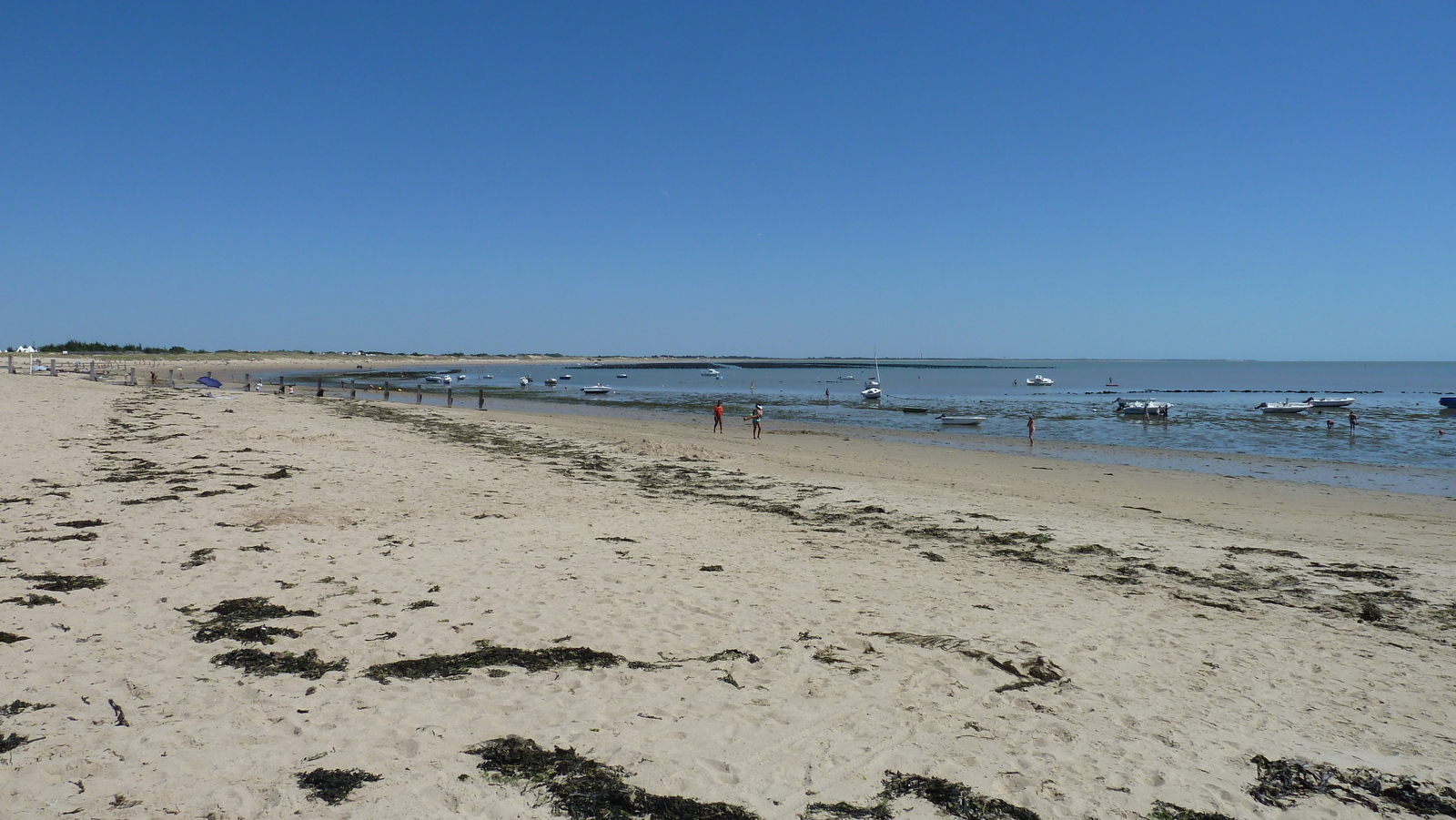 รูปถ่าย ฝรั่งเศส(France) นีวร์มูทีเย(Noirmoutier) 2010-07 33