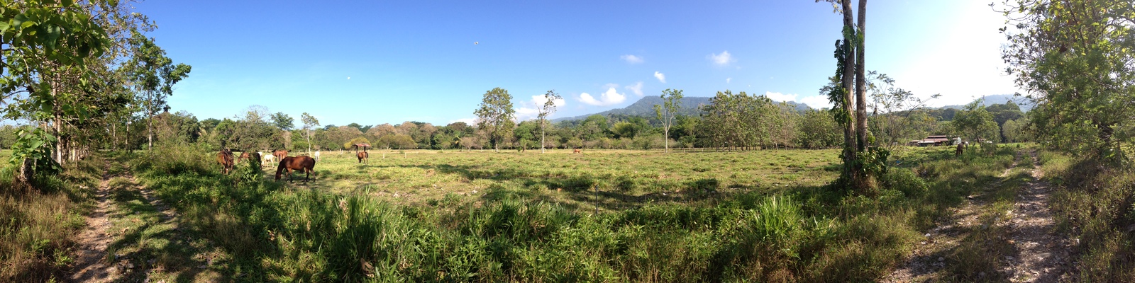 รูปถ่าย คอสตาริกา(Costa Rica) อูบีตา(Uvita) 2015-03 10
