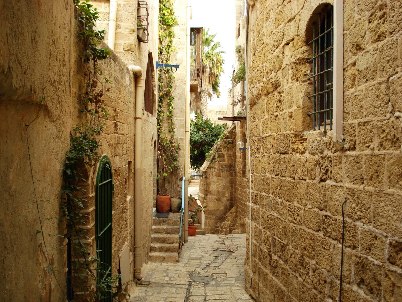 รูปถ่าย อิสราเอล(Israel) จาฟา(Jaffa) 2006-12 16