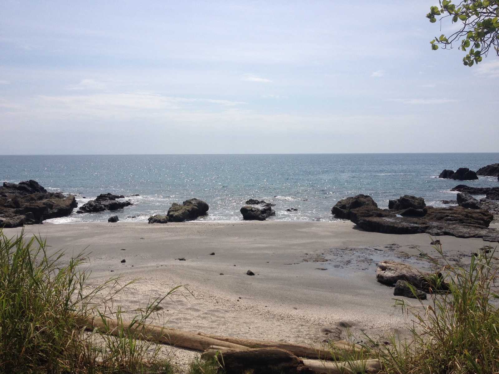 รูปถ่าย คอสตาริกา(Costa Rica) มอนเตซูมา(Montezuma) 2015-03 345