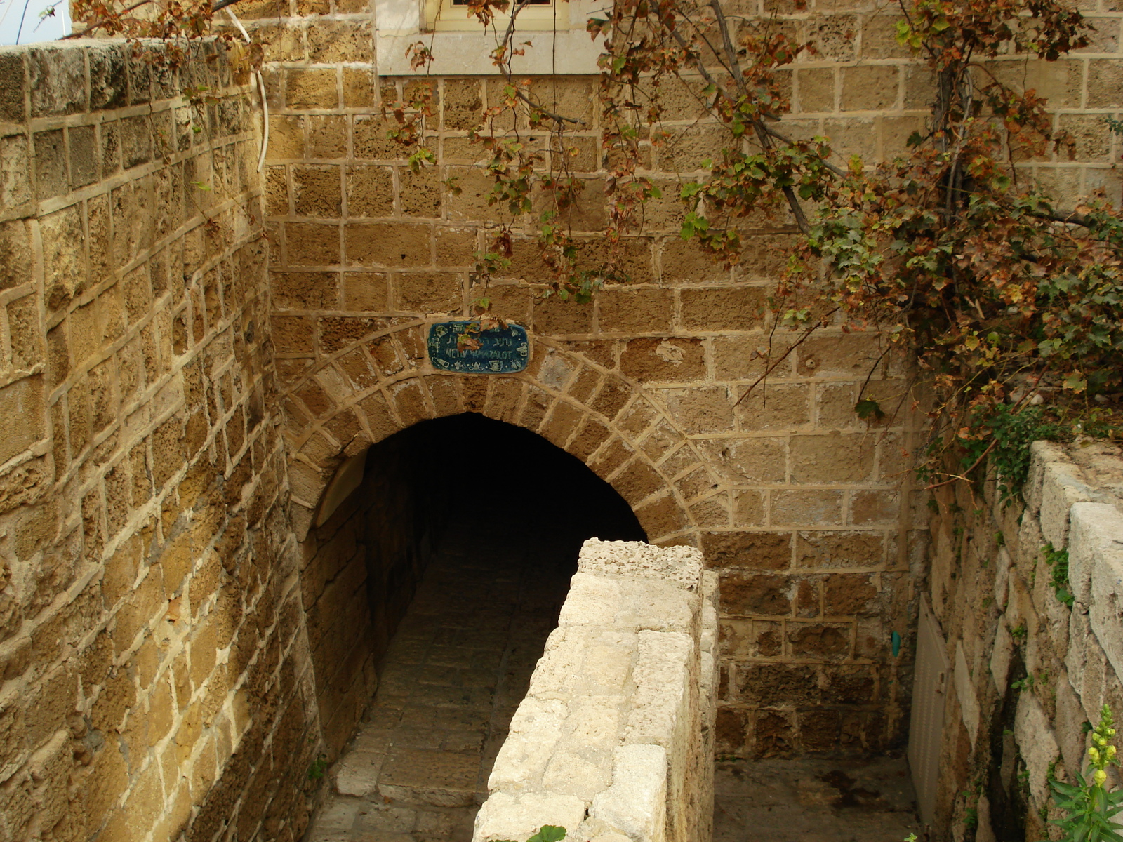 รูปถ่าย อิสราเอล(Israel) จาฟา(Jaffa) 2006-12 30