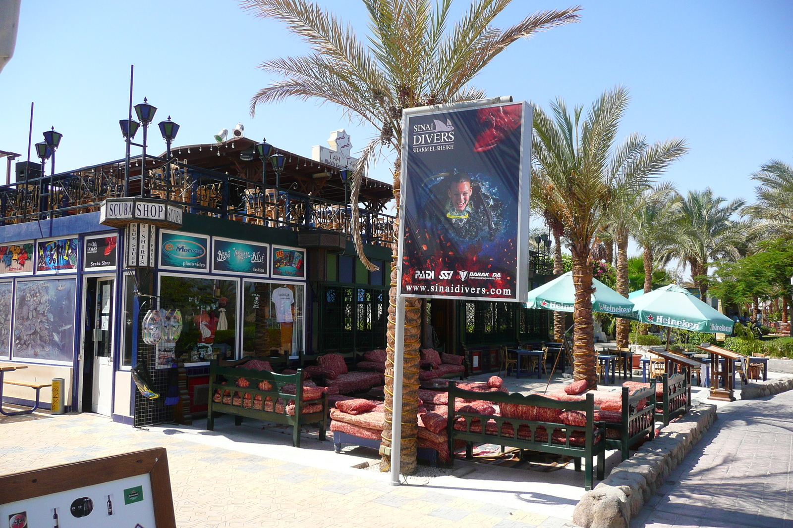 รูปถ่าย อียิปต์(Egypt) ชาร์มเอลชีค(Sharm el Sheikh) 2008-06 56