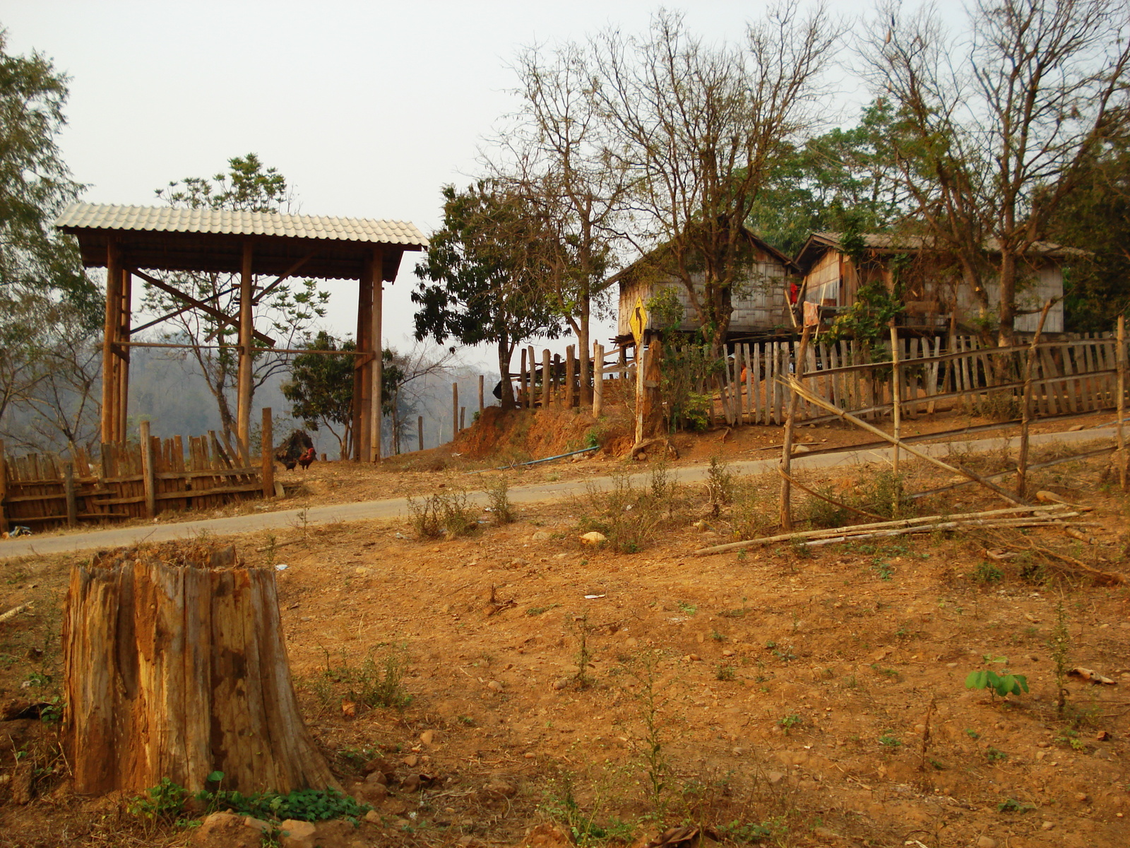 รูปถ่าย ไทย(Thailand) ปางมะผ้า(Pang Mapha) 2007-02 20