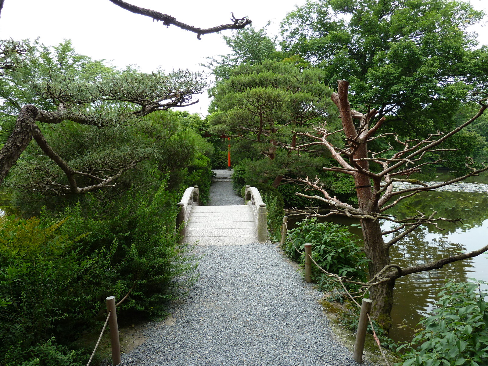 รูปถ่าย ญี่ปุ่น(Japan) เกียวโต(Kyoto) วัดเรียวอันจิ(Ryoanji Temple) 2010-06 1